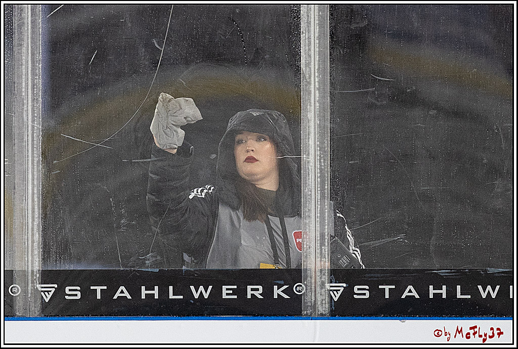 PENNY DEL;  Kölner Haie - Fischtown Pinguins; Köln, 22.12.2022